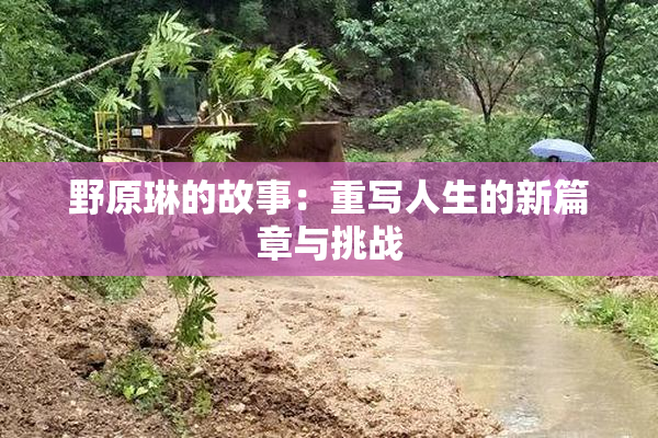 野原琳的故事：重写人生的新篇章与挑战