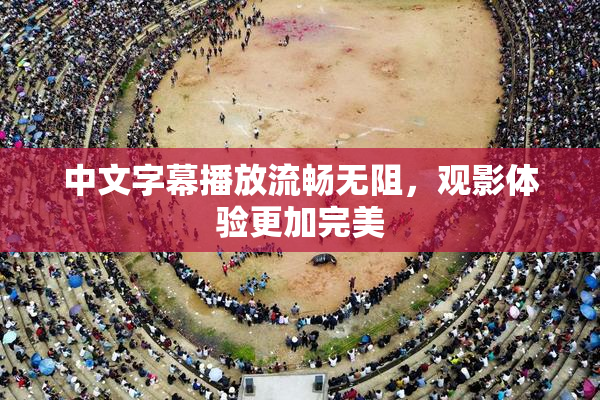 中文字幕播放流畅无阻，观影体验更加完美