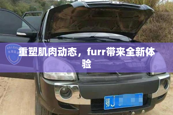 重塑肌肉动态，furr带来全新体验