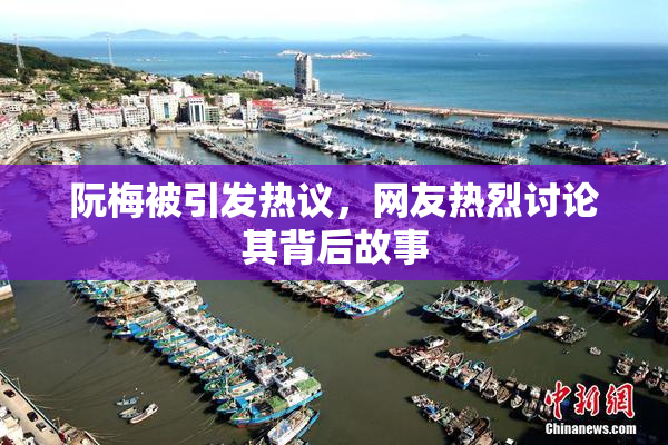 阮梅被引发热议，网友热烈讨论其背后故事