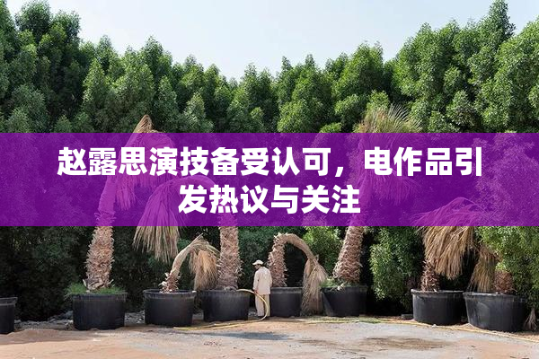 赵露思演技备受认可，电作品引发热议与关注