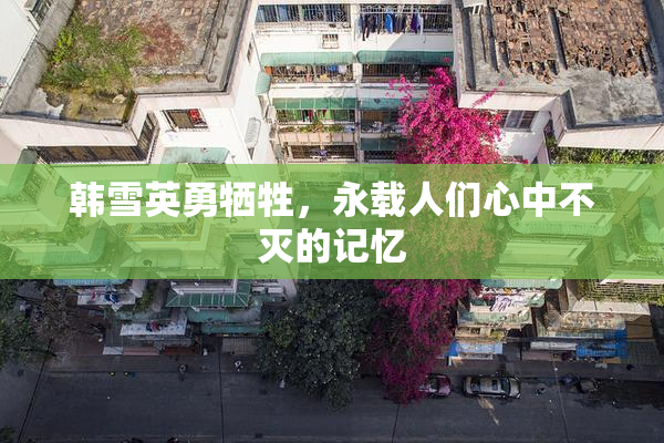 韩雪英勇牺牲，永载人们心中不灭的记忆