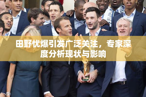 田野忧爆引发广泛关注，专家深度分析现状与影响