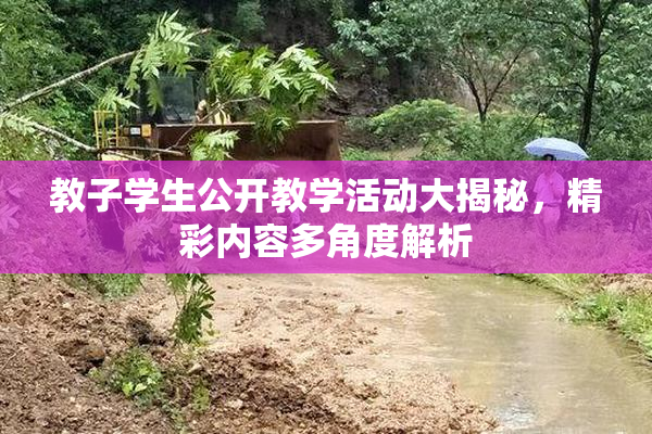 教子学生公开教学活动大揭秘，精彩内容多角度解析