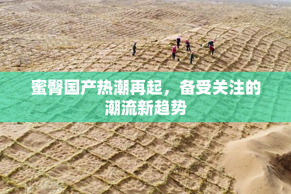 蜜臀国产热潮再起，备受关注的潮流新趋势