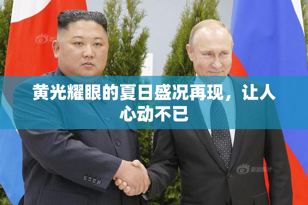 黄光耀眼的夏日盛况再现，让人心动不已