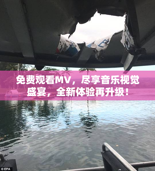 免费观看MV，尽享音乐视觉盛宴，全新体验再升级！