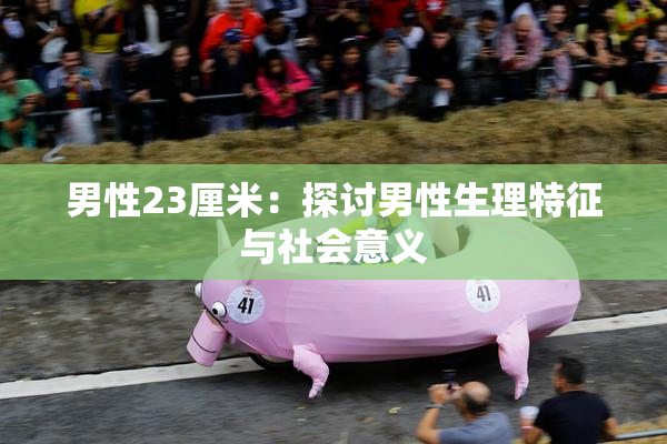 男性23厘米：探讨男性生理特征与社会意义