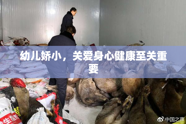 幼儿娇小，关爱身心健康至关重要