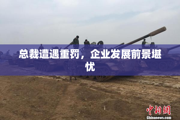 总裁遭遇重罚，企业发展前景堪忧