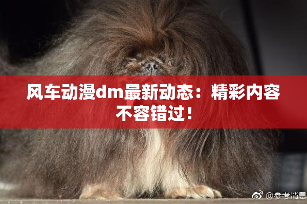风车动漫dm最新动态：精彩内容不容错过！