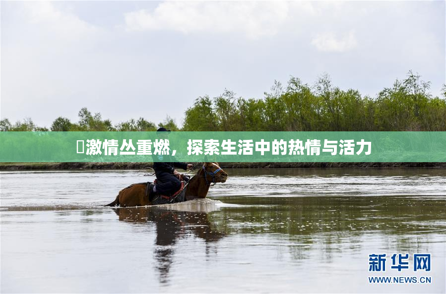 巜激情丛重燃，探索生活中的热情与活力