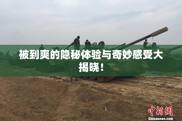 被到爽的隐秘体验与奇妙感受大揭晓！