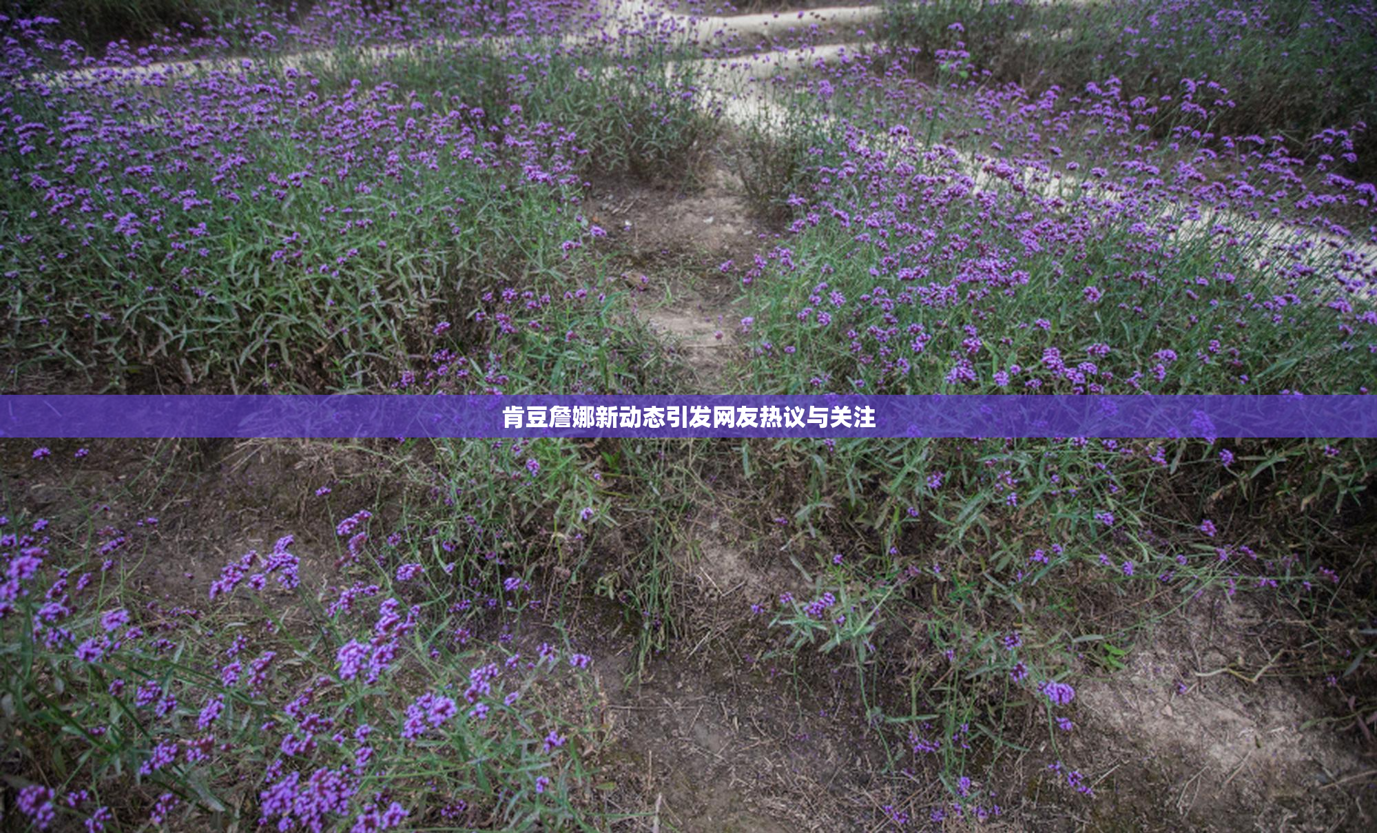 肯豆詹娜新动态引发网友热议与关注