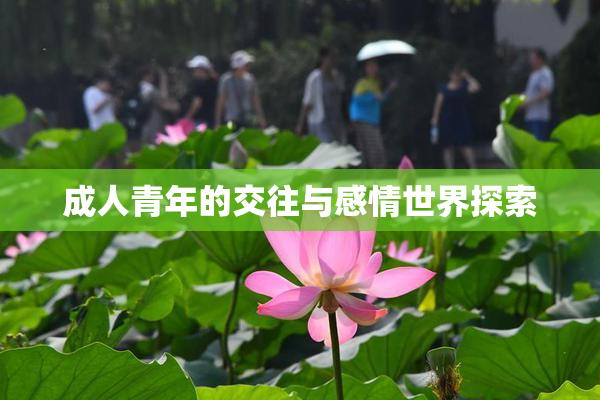 成人青年的交往与感情世界探索