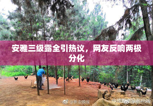 安雅三级露全引热议，网友反响两极分化