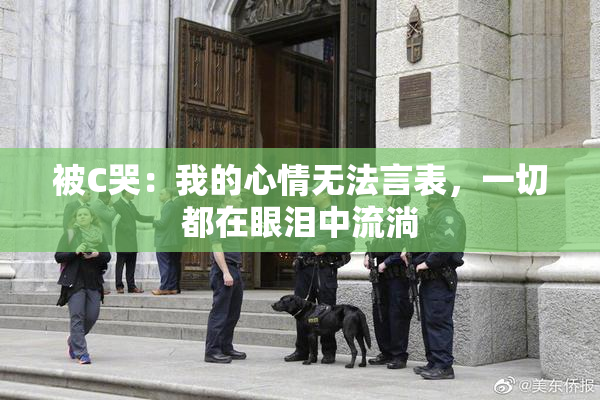 被C哭：我的心情无法言表，一切都在眼泪中流淌