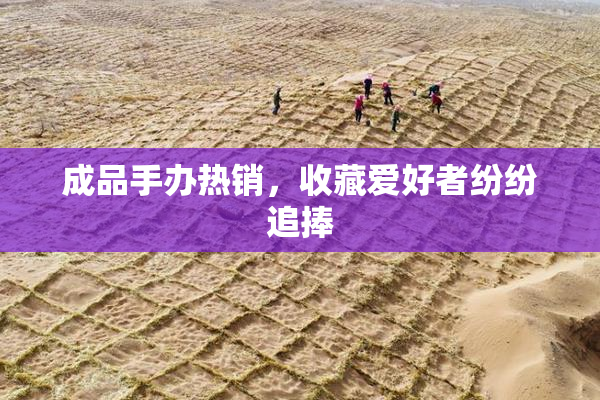 成品手办热销，收藏爱好者纷纷追捧