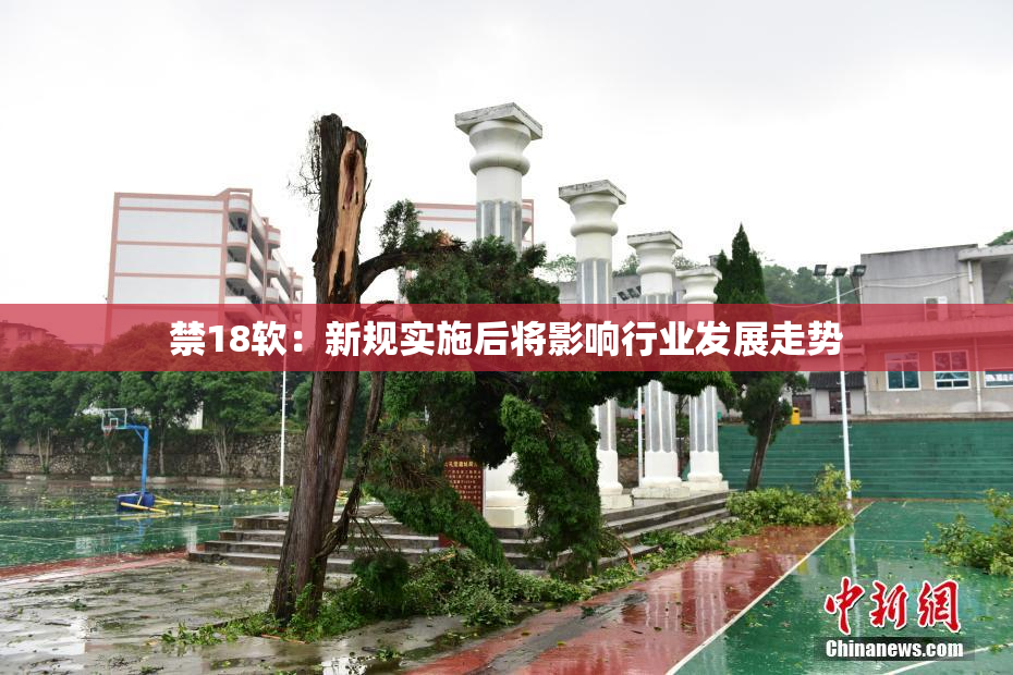禁18软：新规实施后将影响行业发展走势