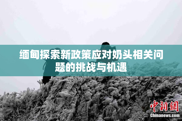 缅甸探索新政策应对奶头相关问题的挑战与机遇