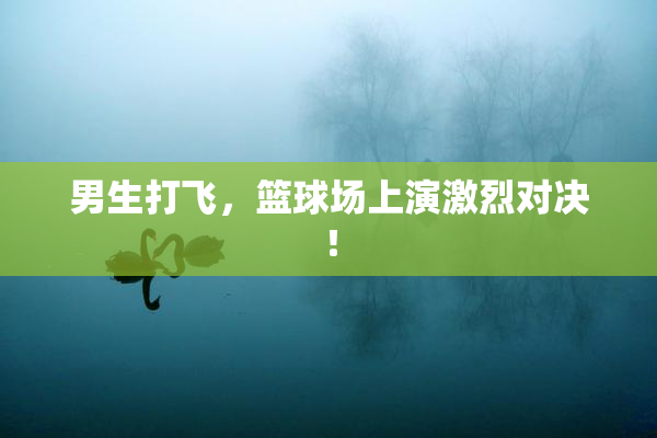 男生打飞，篮球场上演激烈对决！