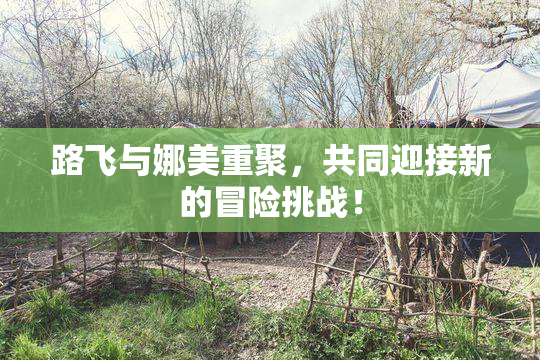 路飞与娜美重聚，共同迎接新的冒险挑战！
