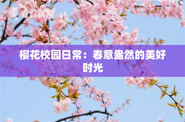 樱花校园日常：春意盎然的美好时光