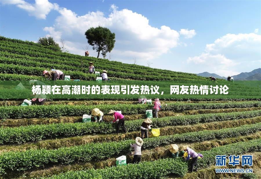 杨颖在高潮时的表现引发热议，网友热情讨论
