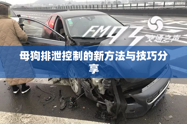 母狗排泄控制的新方法与技巧分享