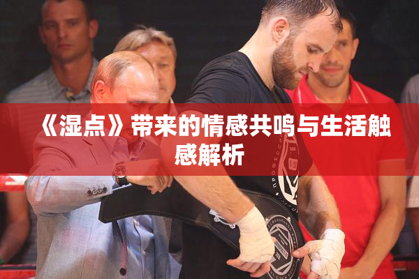 《湿点》带来的情感共鸣与生活触感解析