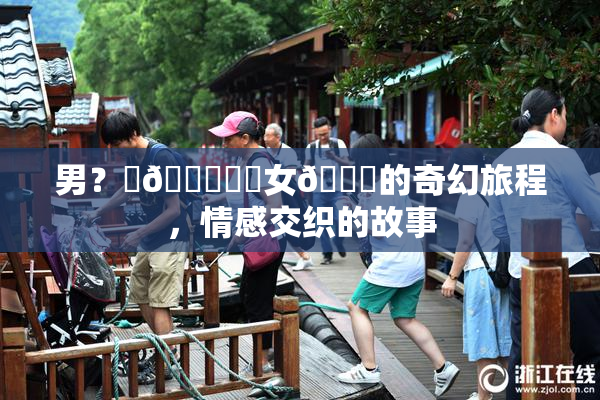 男？‌🍌❌‌女🍑的奇幻旅程，情感交织的故事