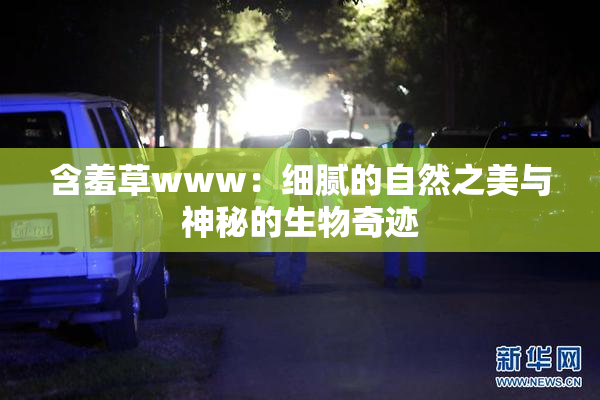 含羞草www：细腻的自然之美与神秘的生物奇迹
