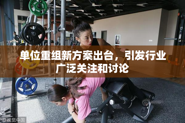 单位重组新方案出台，引发行业广泛关注和讨论