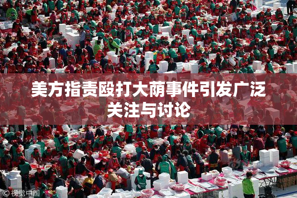 美方指责殴打大荫事件引发广泛关注与讨论