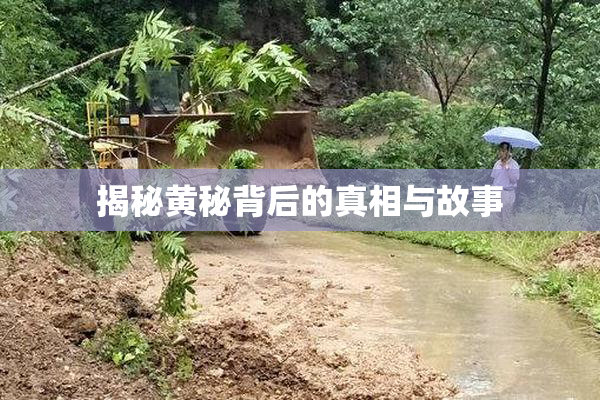 揭秘黄秘背后的真相与故事