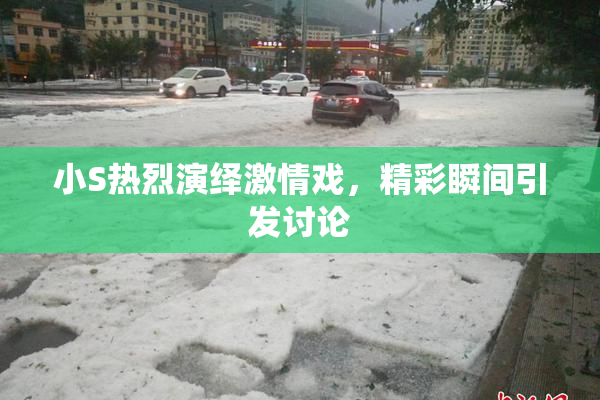 小S热烈演绎激情戏，精彩瞬间引发讨论