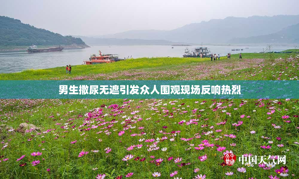 男生撒尿无遮引发众人围观现场反响热烈