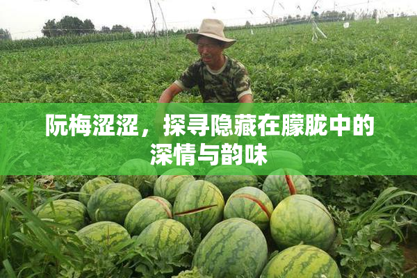 阮梅涩涩，探寻隐藏在朦胧中的深情与韵味