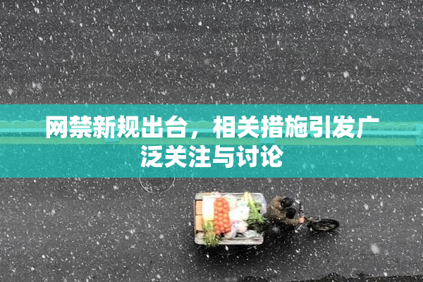 网禁新规出台，相关措施引发广泛关注与讨论