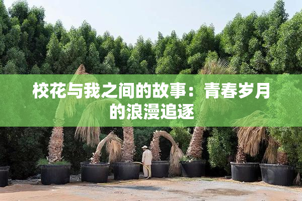 校花与我之间的故事：青春岁月的浪漫追逐