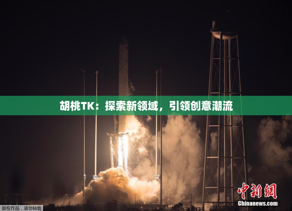 胡桃TK：探索新领域，引领创意潮流