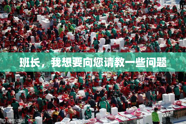 班长，我想要向您请教一些问题