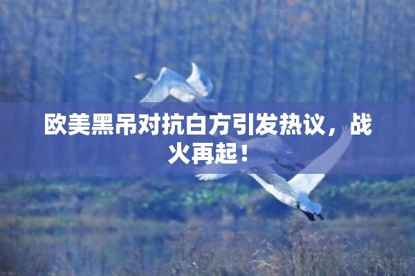 欧美黑吊对抗白方引发热议，战火再起！