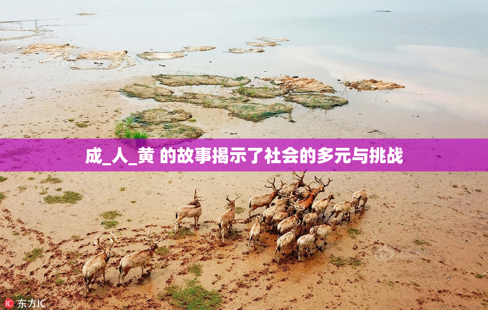 成_人_黄 的故事揭示了社会的多元与挑战