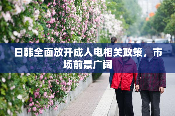 日韩全面放开成人电相关政策，市场前景广阔