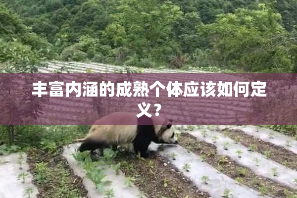 丰富内涵的成熟个体应该如何定义？