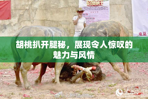 胡桃扒开腿秘，展现令人惊叹的魅力与风情