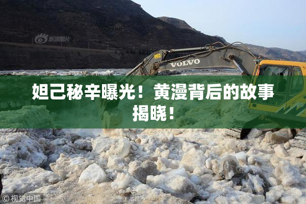 妲己秘辛曝光！黄漫背后的故事揭晓！
