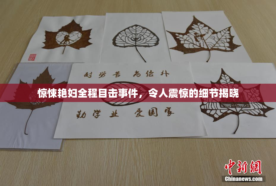 惊悚艳妇全程目击事件，令人震惊的细节揭晓