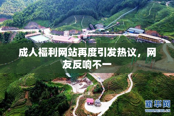 成人福利网站再度引发热议，网友反响不一